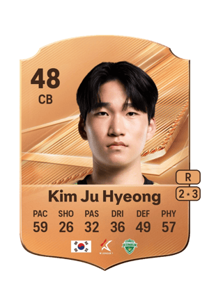 Kim Ju Hyeong - 48 - Rare