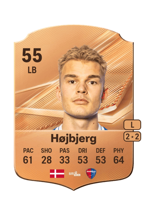 Højbjerg - 55 - Rare