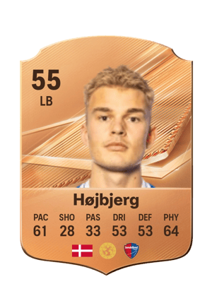 Højbjerg - 55 - Rare