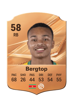 Bergtop - 58 - Rare