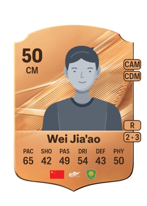 Wei Jia'ao - 50 - Rare