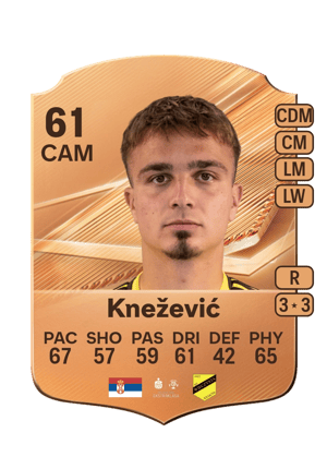 Knežević - 61 - Rare