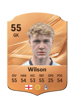 Wilson - 55 - Rare