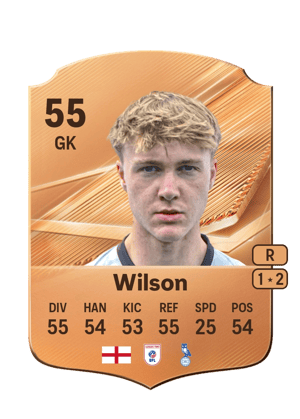 Wilson - 55 - Rare