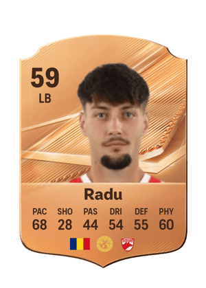 Radu - 59 - Rare