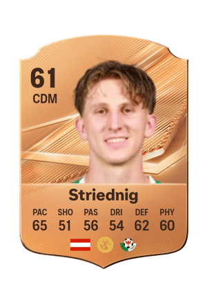 Striednig - 61 - Rare