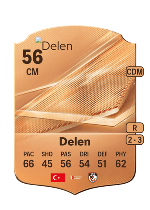 Delen - 56 - Rare