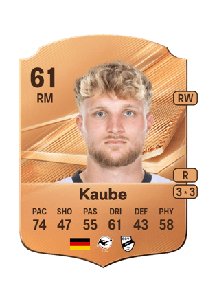 Kaube - 61 - Rare