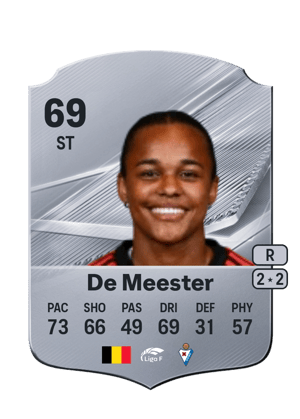 De Meester - 69 - Rare