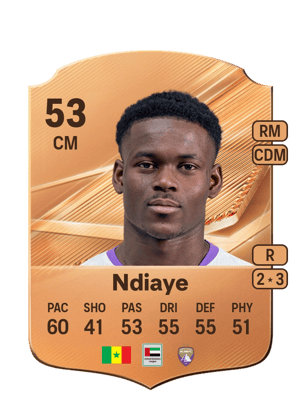 Ndiaye - 53 - Rare