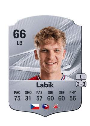 Labik - 66 - Rare
