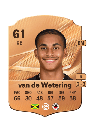van de Wetering - 61 - Rare