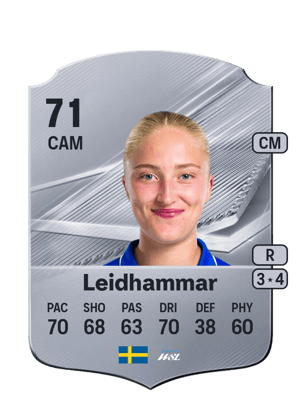 Leidhammar - 71 - Rare