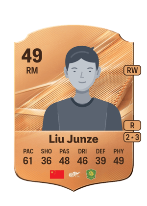 Liu Junze - 49 - Rare