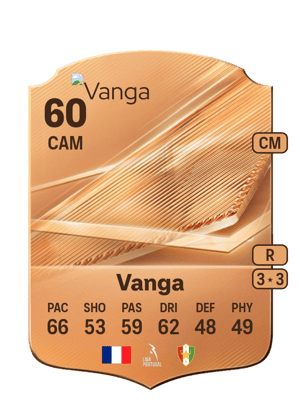 Vanga - 60 - Rare