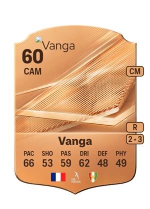 Vanga - 60 - Rare