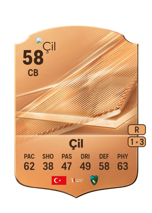 Çil - 58 - Rare