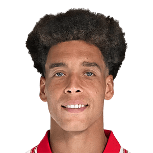 Witsel