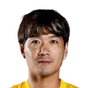 Zhao Honglue