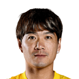 Zhao Honglue