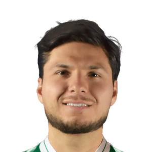 Raimundo Rebolledo
