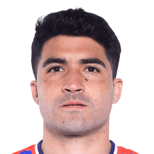 Nicolás Ibáñez