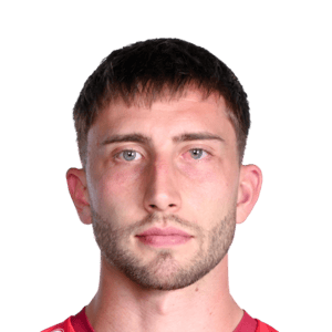Dominik Meisel