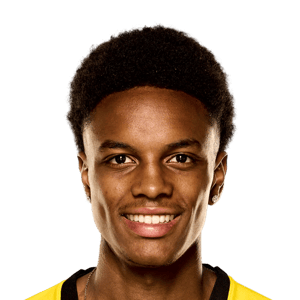 Alvyn Sanches