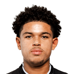 Shola Shoretire