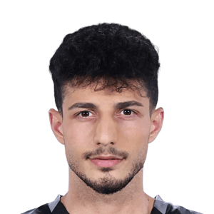 Çelik