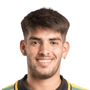 Palavecino