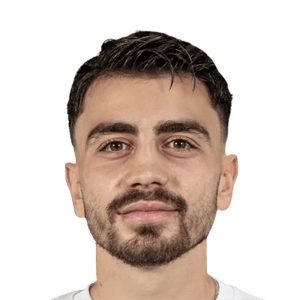Şahin