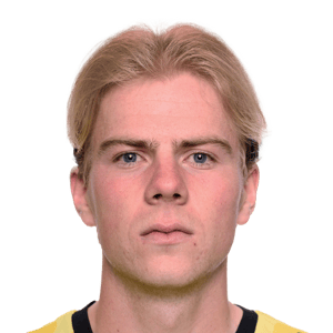 Johan Meyer