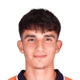 Çelik