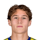 Ryan van de Pavert
