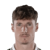Andrea Pinamonti