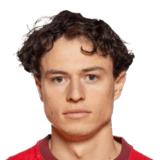 Leo Cornic