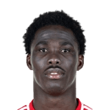 David Datro Fofana
