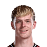 Toby Collyer