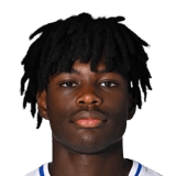 Ngonzo