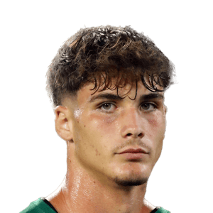 Davide Renzetti