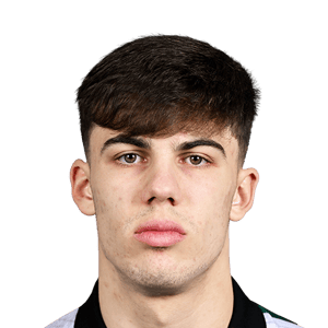 Max Kovalevskis