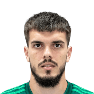 Aleksa Purić