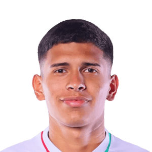 Roldán