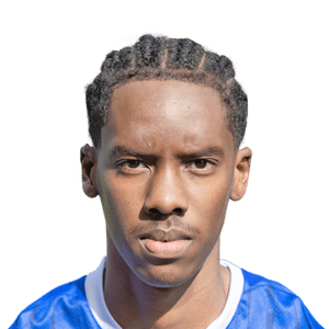 Harvey Araujo