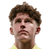 Faberski