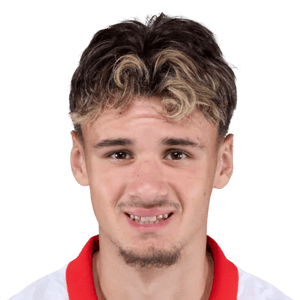 Alajbegović
