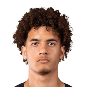 Everton Pereira