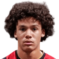Rees-Dottin