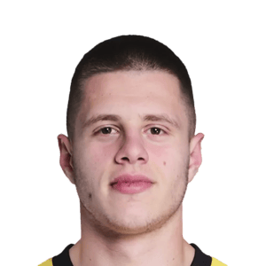 Čelik